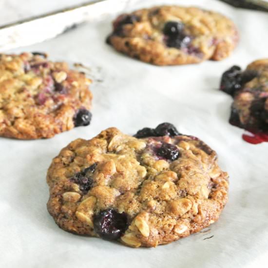 Black Currant Chocolate Cookies - Recipe photo by eesingle