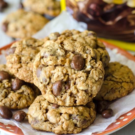 Oatmeal Raisinet Cookies - Recipe photo by freshaprilflours