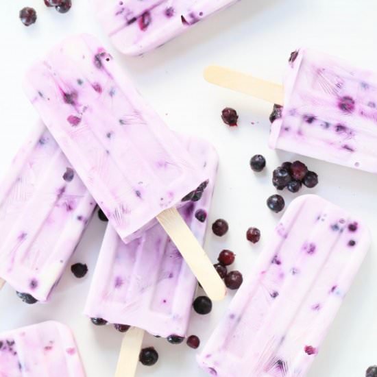 Frozen Yogurt Blueberry Popsicles - Recipe photo by EatGood4Life