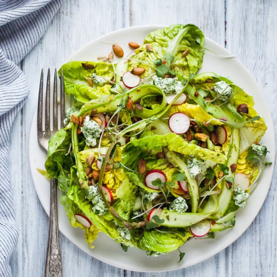 Little Gem Spring Salad - Recipe photo by snixykitchen
