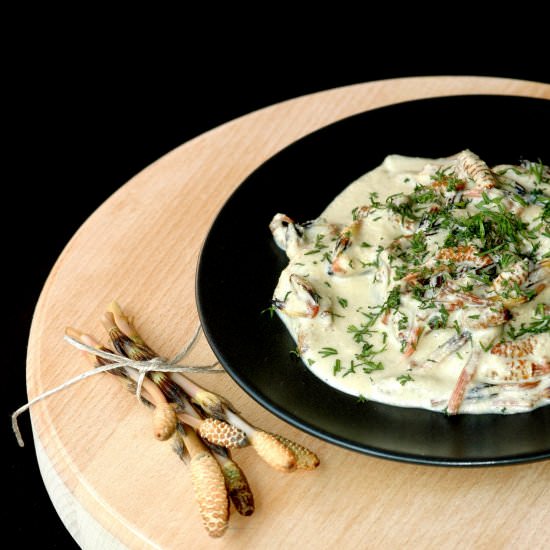 Horsetail in Vegan Sauce - Recipe photo by Taste me