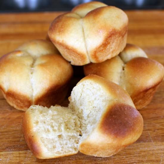Wheat Cloverleaf Rolls - Recipe photo by Spindles Designs by Mary and Mags
