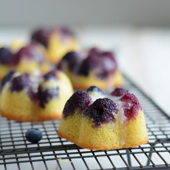 Almond and Blueberries Cakes - Recipe photo by Chic_Chic_Chocolat