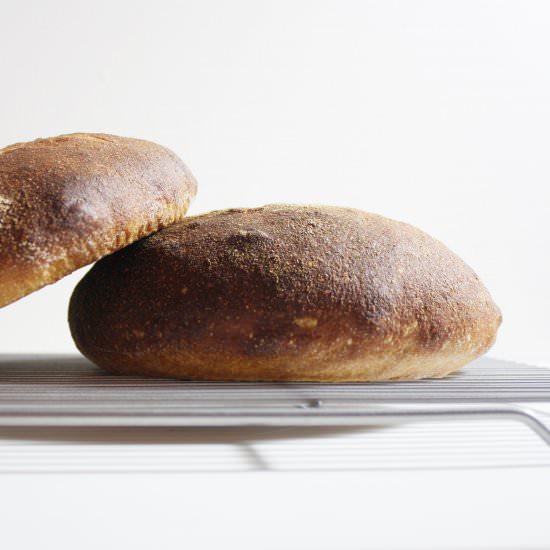 Sourdough Bread - Recipe photo by iwishbakingwasmyrealjob