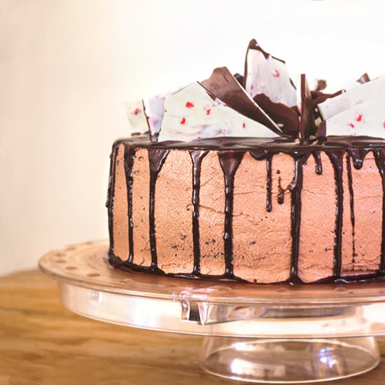 Ultimately Moist Chocolate Cake - Recipe photo by frostandserve