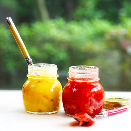 Fruit Purees - Recipe photo by littlebigh