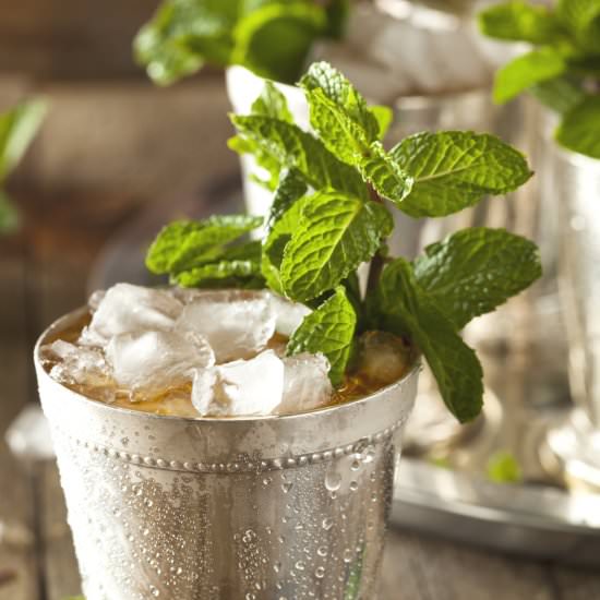 A Classic Mint Julep with a Twist - Recipe photo by carrieleber