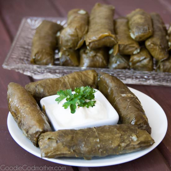 Stuffed Grape Leaves - Recipe photo by GoodieGodmother