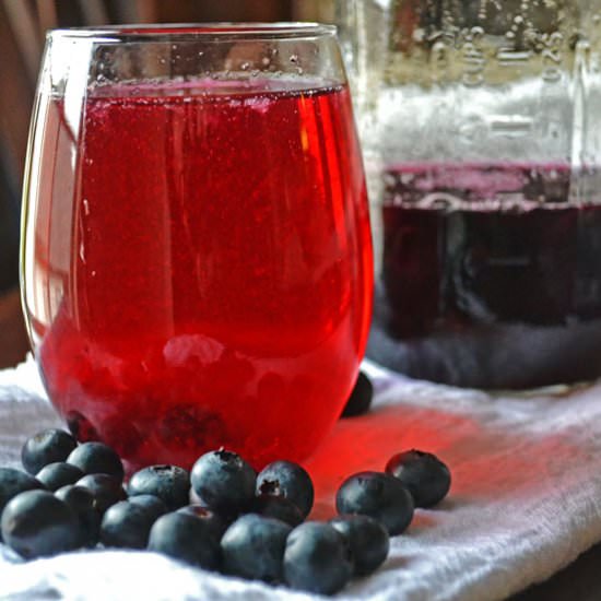 Blueberry Mexican Mule - Recipe photo by Simple Hacks Living