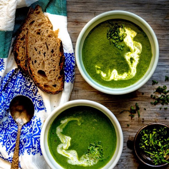 Nettle, Ramp, and Leek Soup - Recipe photo by wild greens