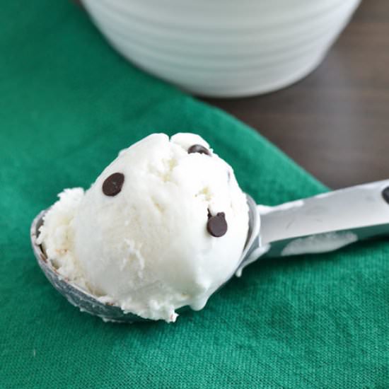 Homemade Vegan Mint Chip Ice Cream - Recipe photo by shebakeshere