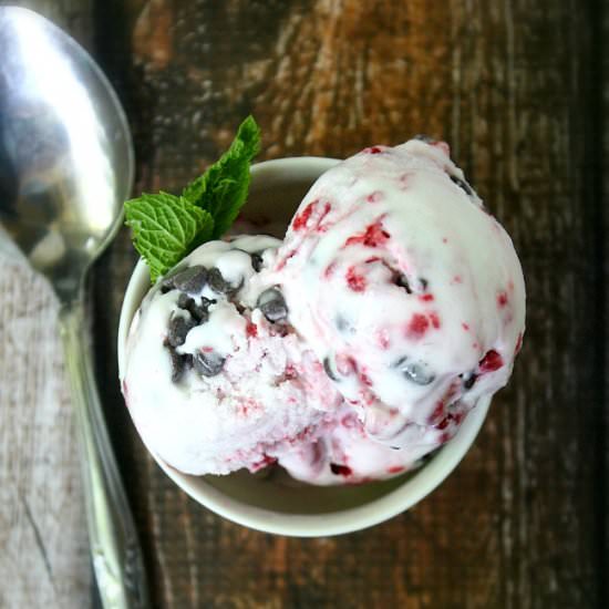 Chocolate Chip Raspberry Ice Cream - Recipe photo by thehealthyfamilyandhome