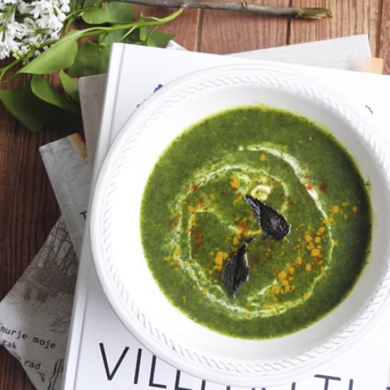 Nettle Soup - Recipe photo by tilli.ruzmarin