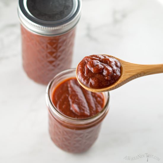 Paleo Ketchup - Recipe photo by awholenewtwist.com