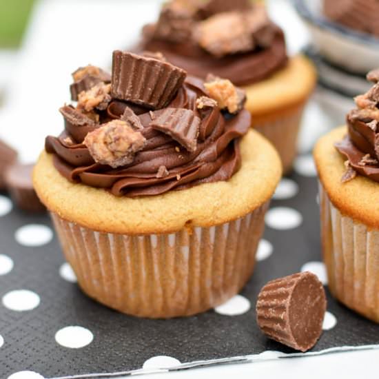 Peanut Butter Cupcakes - Recipe photo by SprinkledWithJules