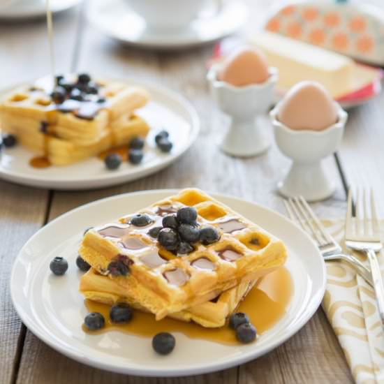 Lemon Blueberry Paleo Waffles - Recipe photo by PrimalPalate