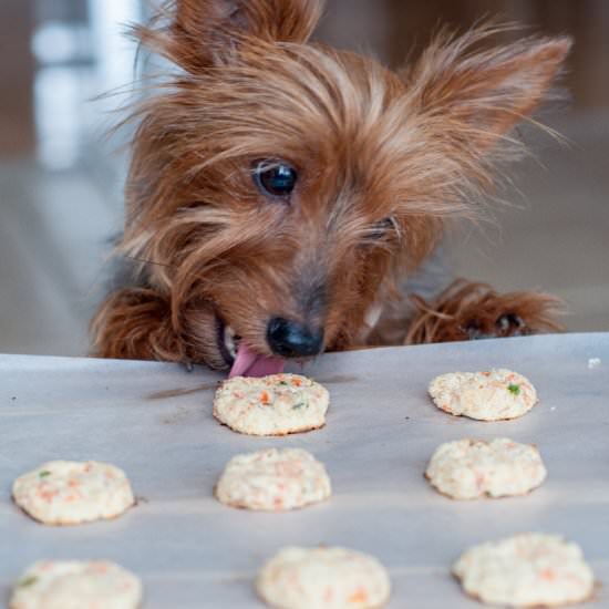 Gluten Free Doggie Treats - Recipe photo by Gastro Senses