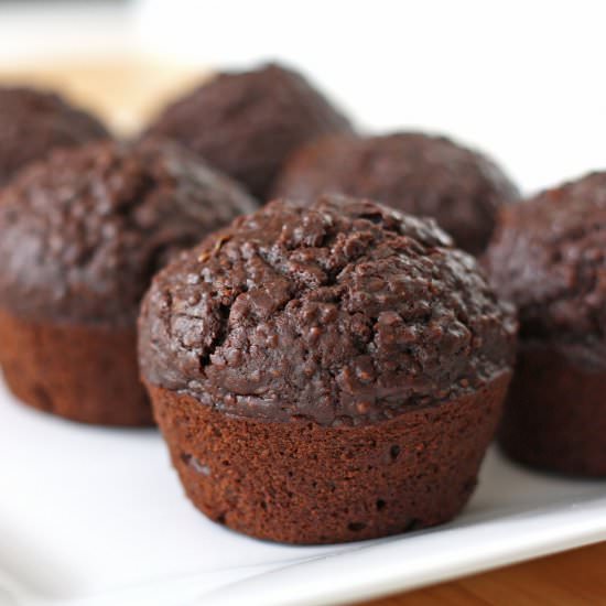Chocolate quinoa muffins - Recipe photo by erinblueburke