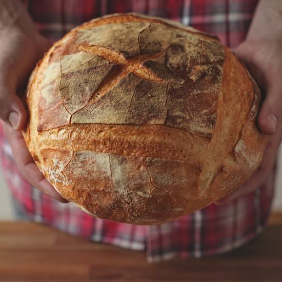 Quick White Bread Loaf - Recipe photo by jernejkitchen
