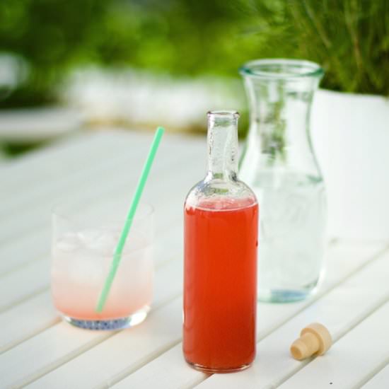 Rhubarb-Syrup - Recipe photo by finefreshfood