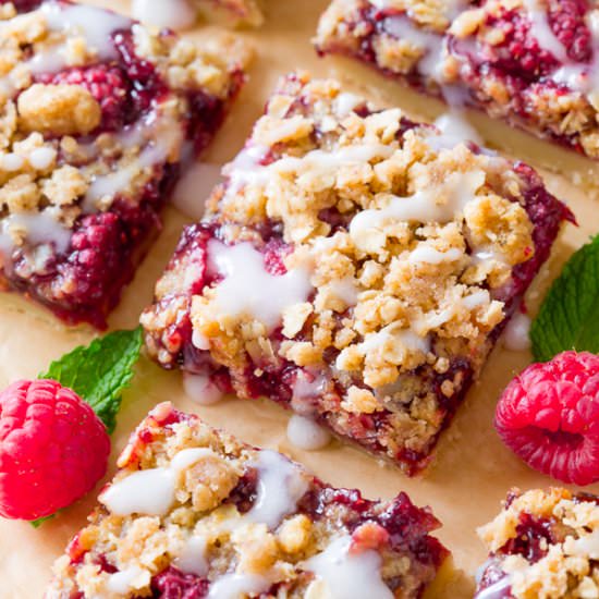 Raspberry Streusel Bars - Recipe photo by sallysbakingaddiction
