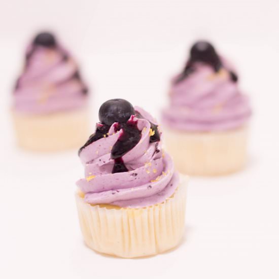 Lemon Blueberry Mini Cupcakes - Recipe photo by b. sweet