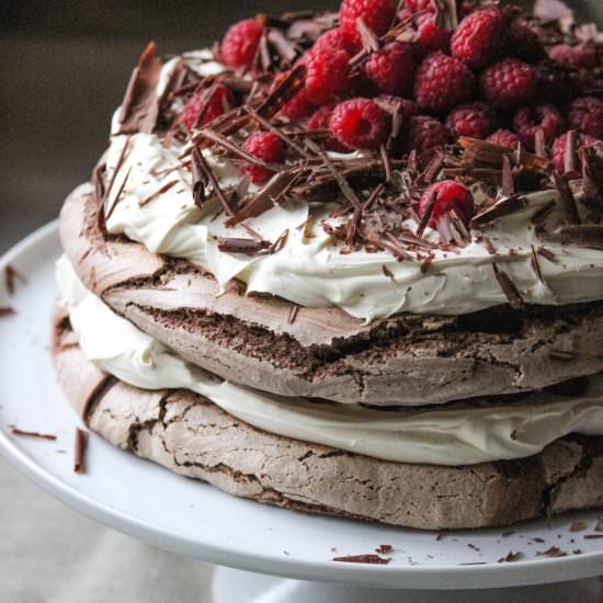 Chocolate Layer Meringue Cake - Recipe photo by The Life Harvest
