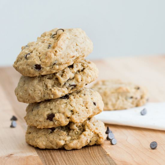 Chocolate Chip Oatmeal Cookies - Recipe photo by tarajung