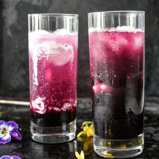 Italian Cream Sodas - Recipe photo by Anu@MyGingerGarlicKitchen