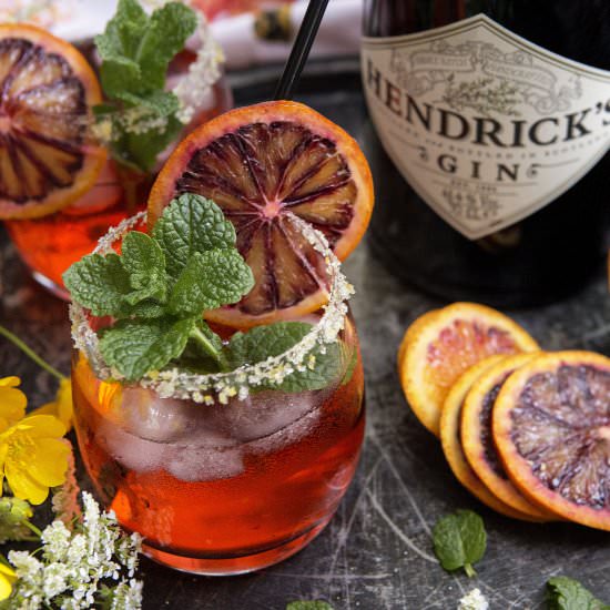 Blood Orange Gin Fizz - Recipe photo by 100 Decors
