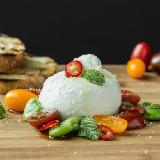 Burrata, Favas, Tomatoes & Mint - Recipe photo by brisketandbagels