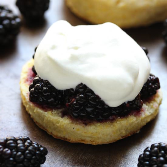 Blackberry Cornmeal Shortcakes - Recipe photo by ashleymarieskitchen