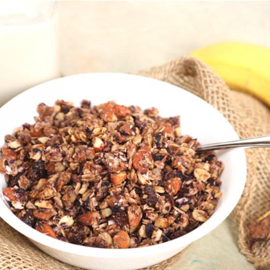Almond & Flax Blueberry Granola - Recipe photo by Easyhealth Living