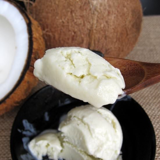 Dairy-Free Coconut Milk Ice-Cream - Recipe photo by dietplan-101