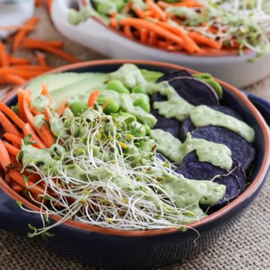 Rainbow Veggie Quinoa Bowl - Recipe photo by stephinthyme