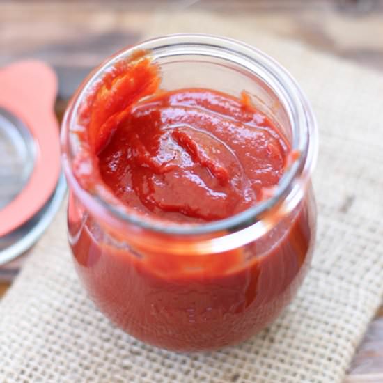 Healthy Probiotic Ketchup - Recipe photo by Fermentedfoodlab