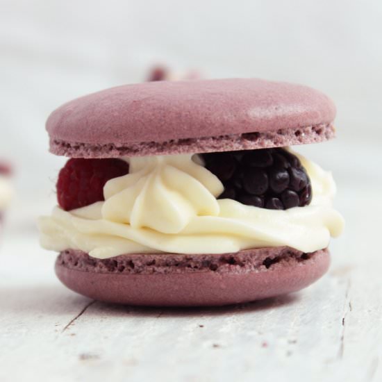 Berry french macarons - Recipe photo by Bake Therapy