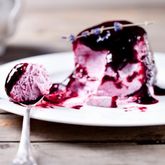 Berry Ice Cream and Sauce - Recipe photo by carrieleber