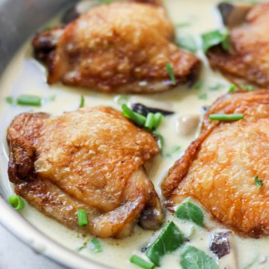 Baked Chicken with Mushroom Cream - Recipe photo by cassiboeno