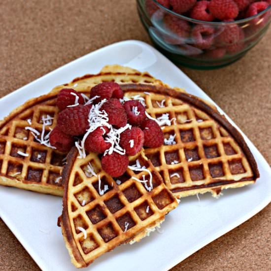 Paleo Coconut Waffles - Recipe photo by SewCreativeBlog