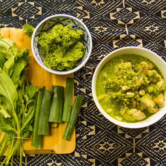 Green Masala Chicken Curry - Recipe photo by Spice Mama