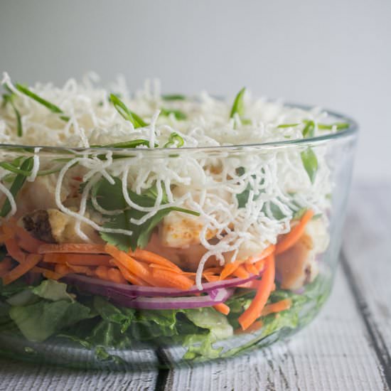 Asian Chicken Salad with Apple Cider Vinaigrette - Recipe photo by wokandskillet
