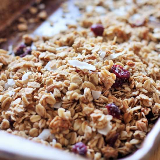 Quick Stovetop Granola - Recipe photo by thetastybite