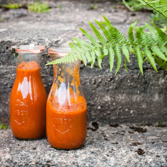 Rhubarb Ketchup - Recipe photo by trickytine