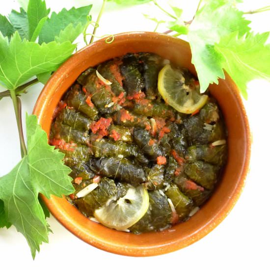 Stuffed Grape Leaves - Recipe photo by spainkitchen