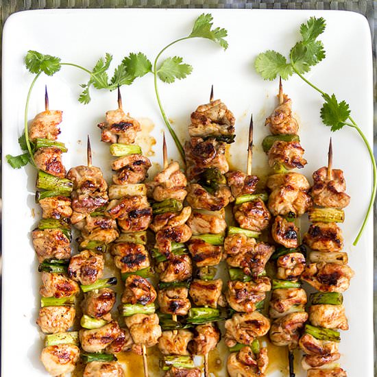 Yakitori Chicken - Recipe photo by panning the globe