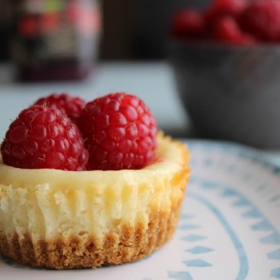 Cheesecake Bites - Recipe photo by thisgrandmaisfun