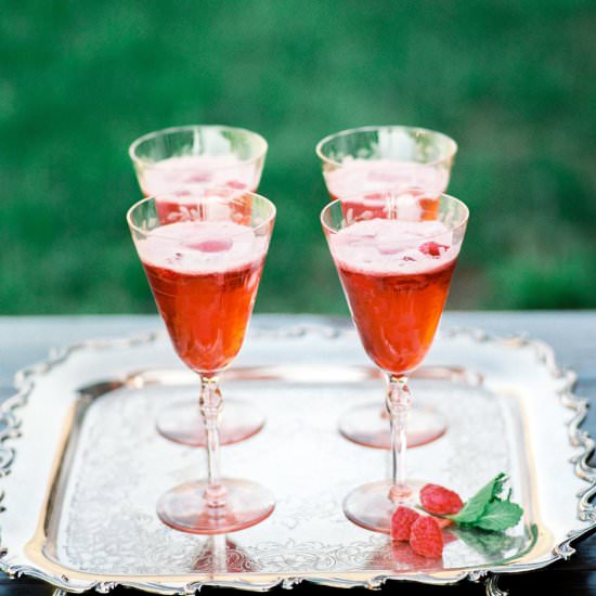 Raspberry Sorbet Fizz - Recipe photo by The Bride Link