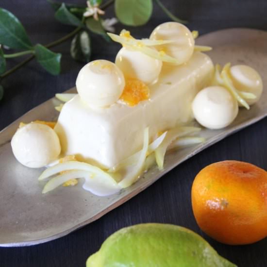 Lemon & Clementine Panna Cotta - Recipe photo by Foodie goes Primal