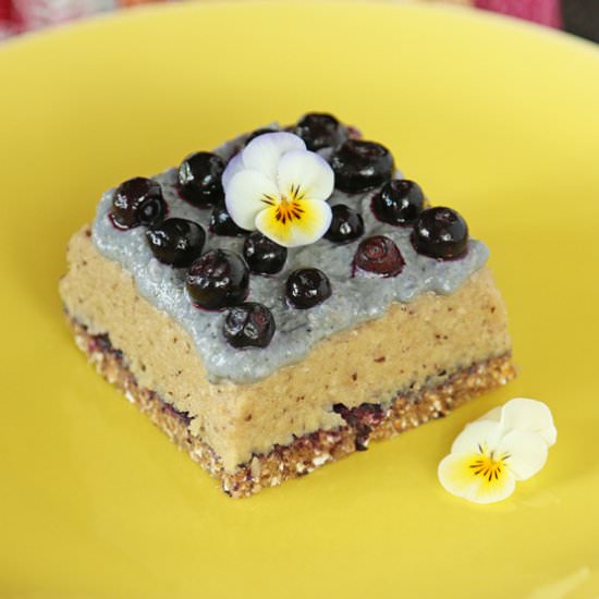 Raw Food Cake - Recipe photo by lisaerik